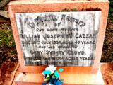 image of grave number 596385
